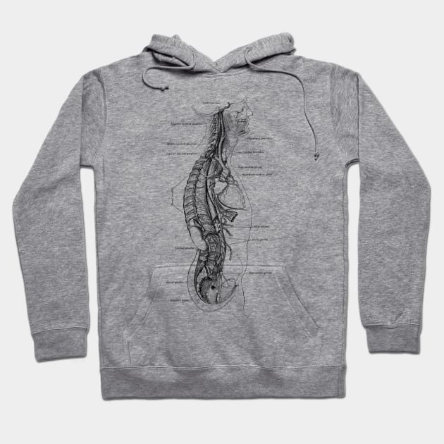 Human Body - Section Hoodie by be yourself. design